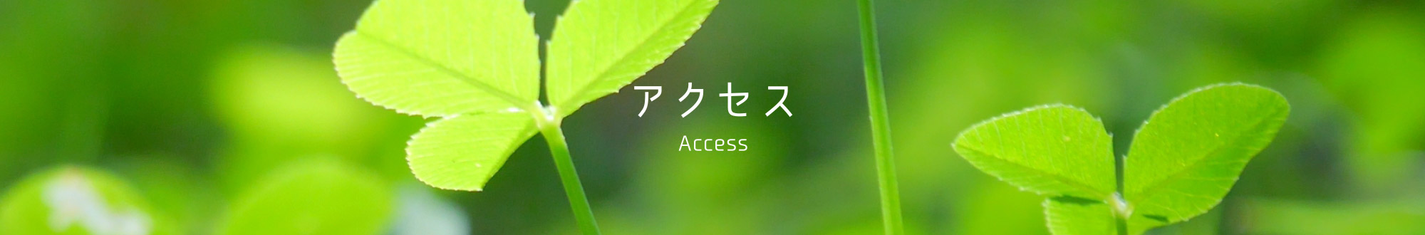 アクセス