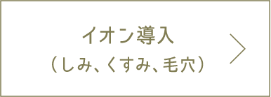 イオン導入（シミ、くすみ、毛穴）